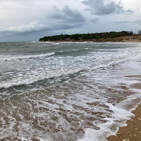 App Sorgo Daire Novigrad Istria Dış mekan fotoğraf