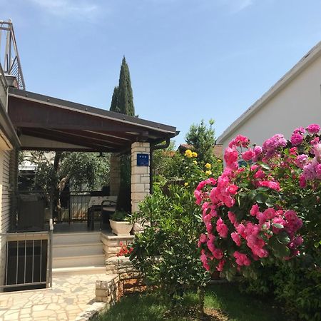 App Sorgo Daire Novigrad Istria Dış mekan fotoğraf