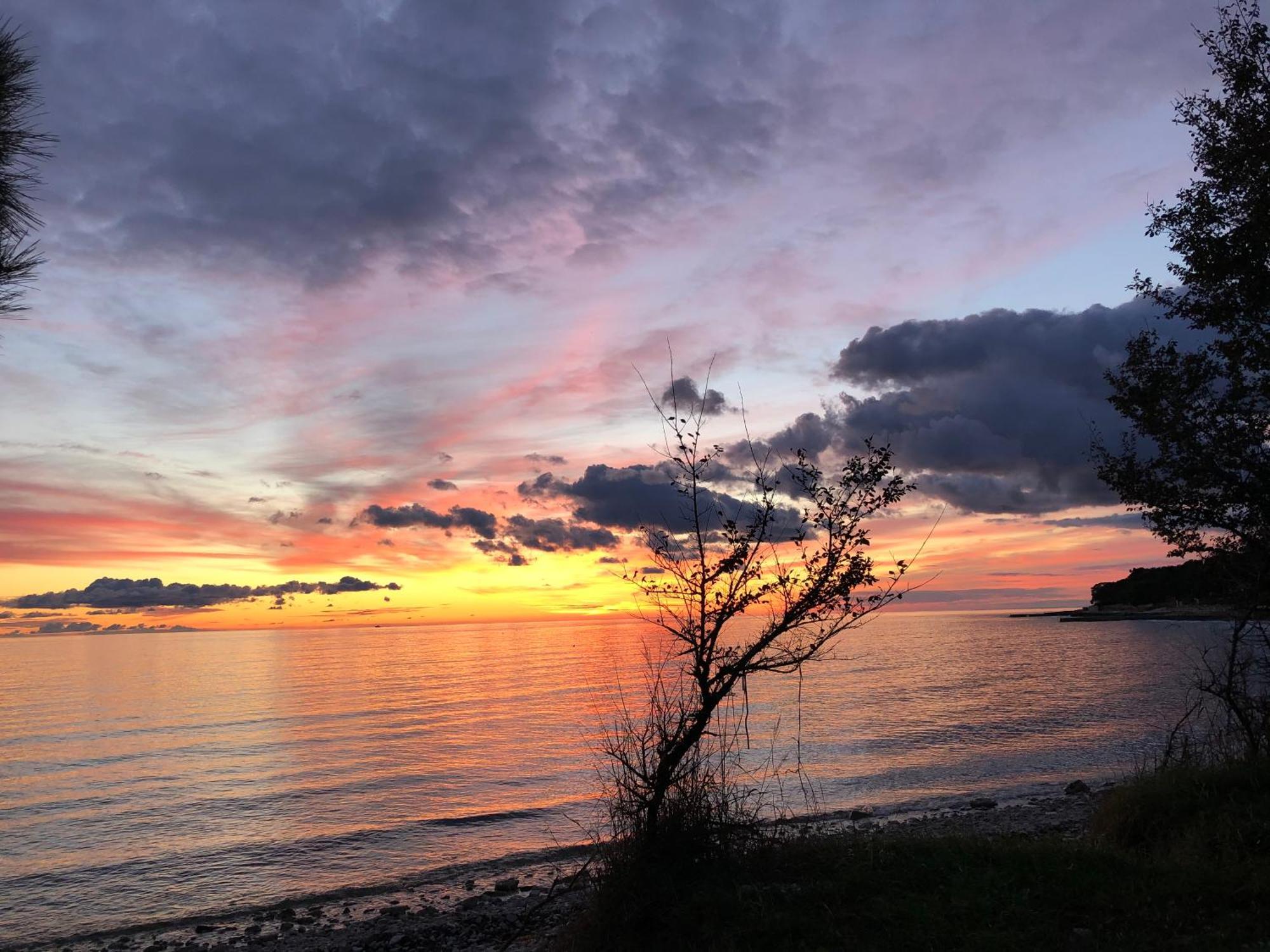 App Sorgo Daire Novigrad Istria Dış mekan fotoğraf