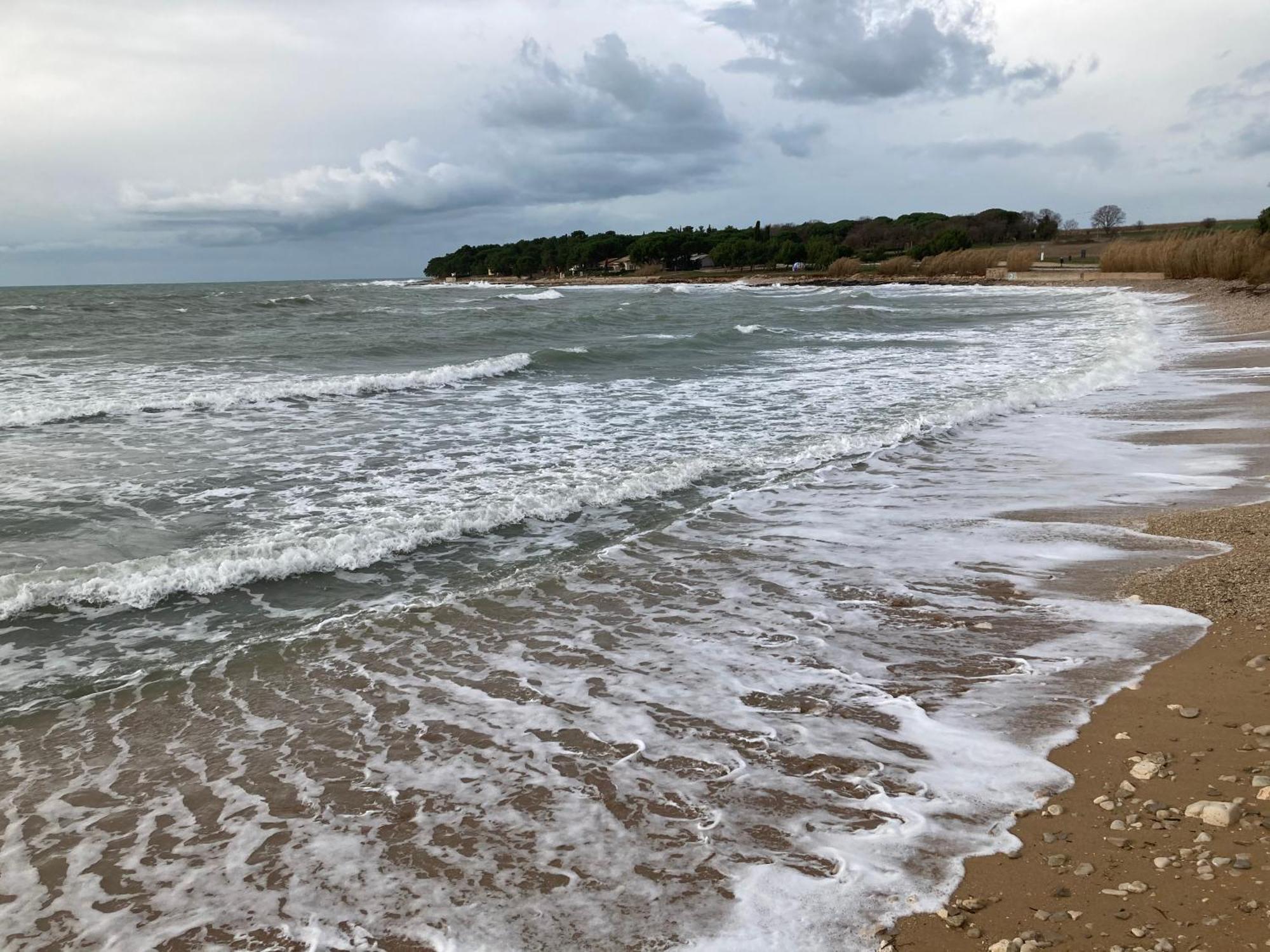 App Sorgo Daire Novigrad Istria Dış mekan fotoğraf