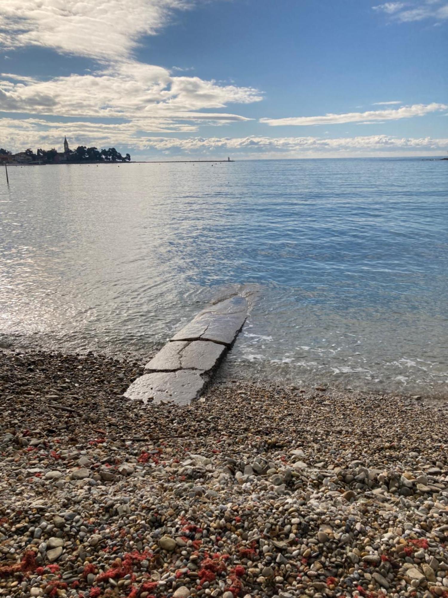 App Sorgo Daire Novigrad Istria Dış mekan fotoğraf