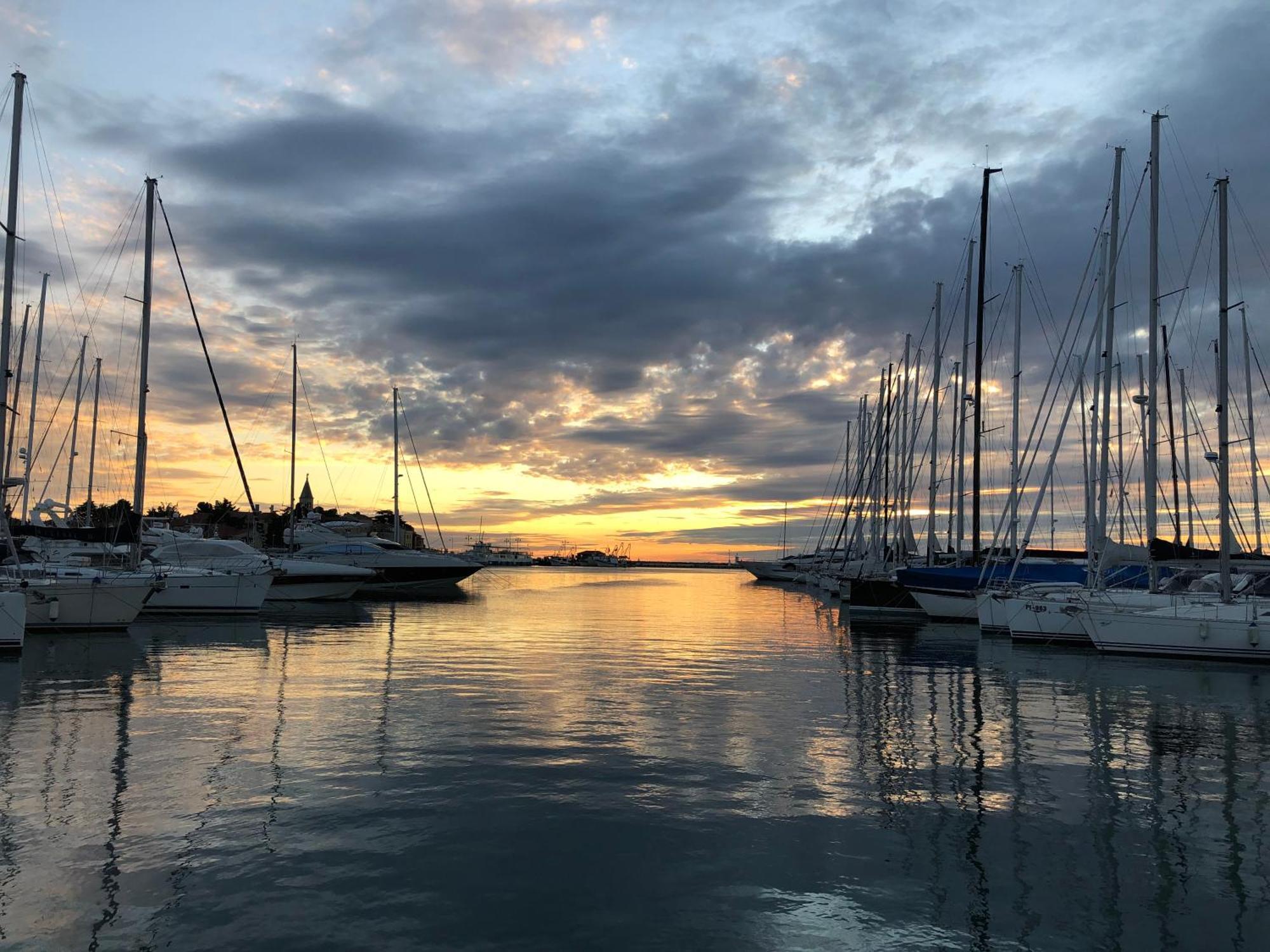 App Sorgo Daire Novigrad Istria Dış mekan fotoğraf