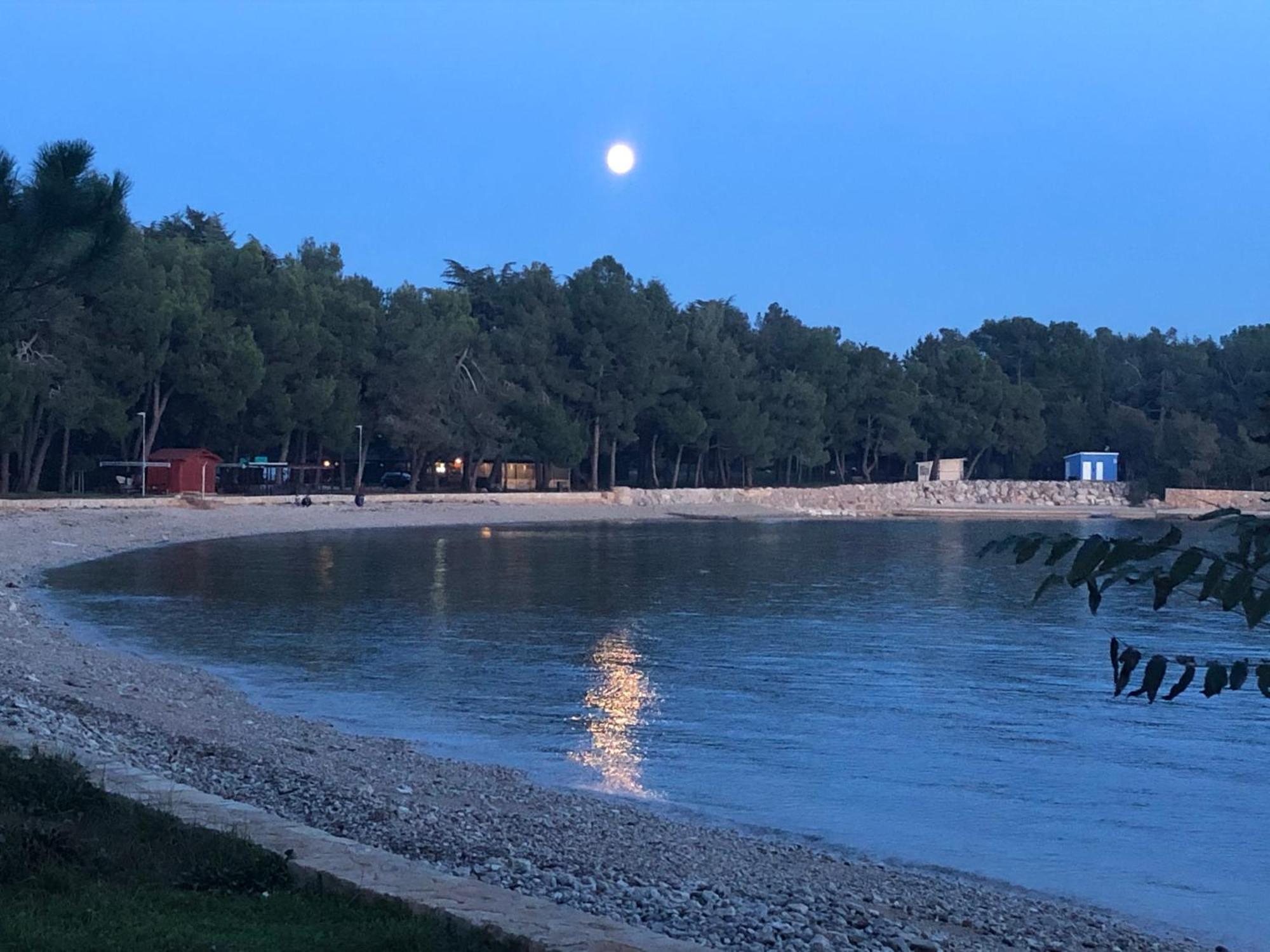 App Sorgo Daire Novigrad Istria Dış mekan fotoğraf