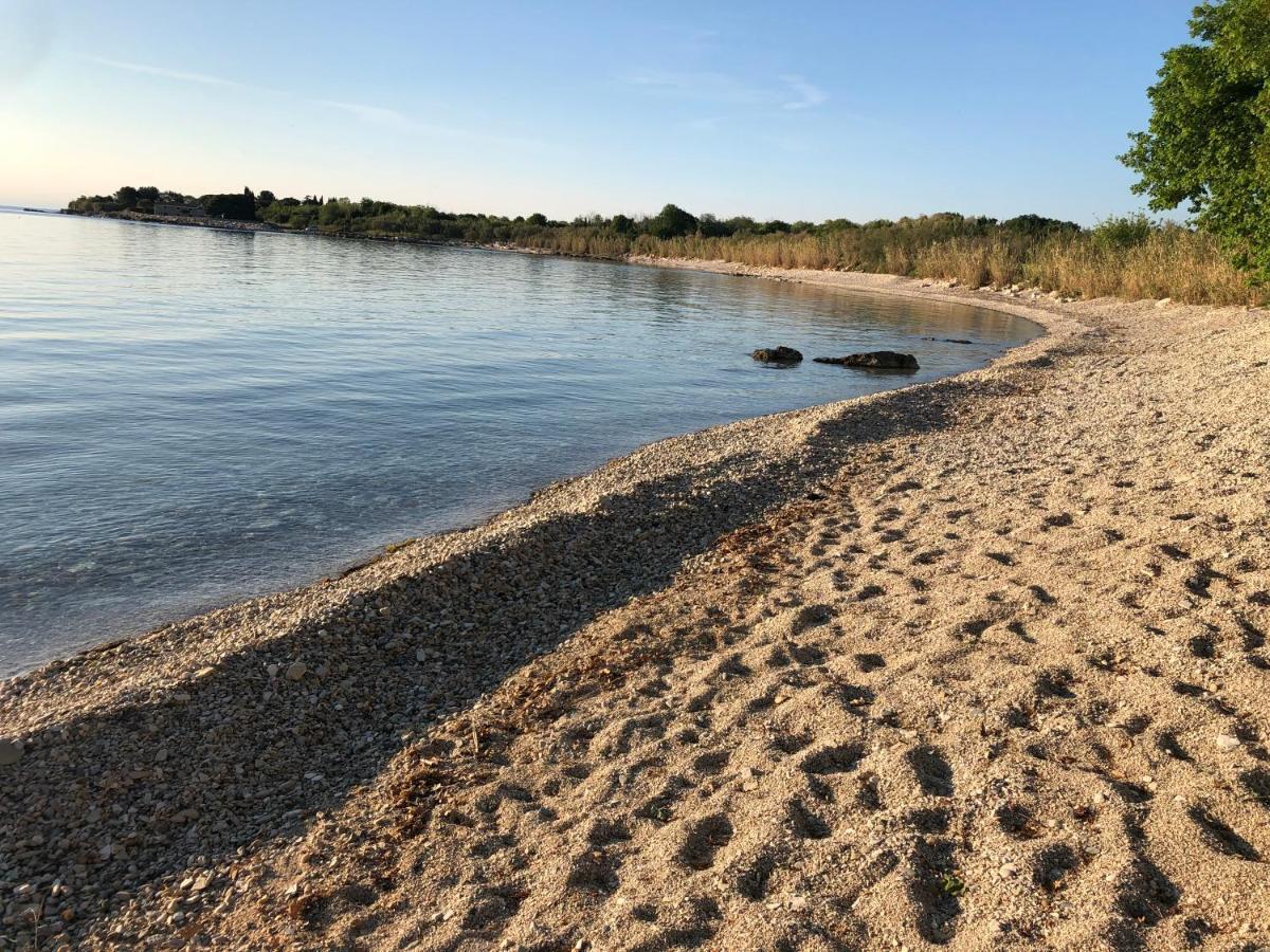App Sorgo Daire Novigrad Istria Dış mekan fotoğraf