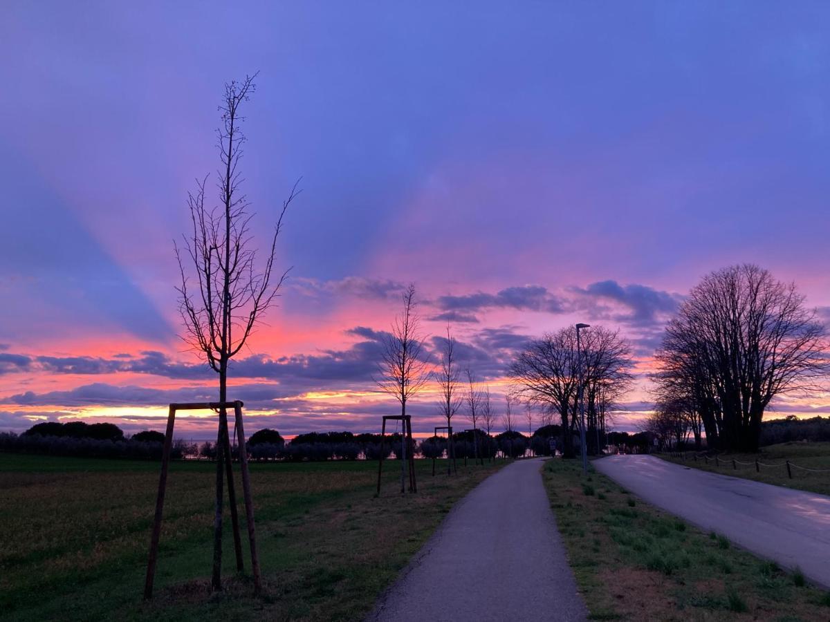 App Sorgo Daire Novigrad Istria Dış mekan fotoğraf