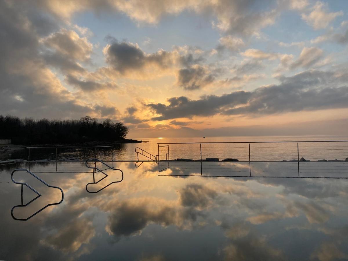 App Sorgo Daire Novigrad Istria Dış mekan fotoğraf