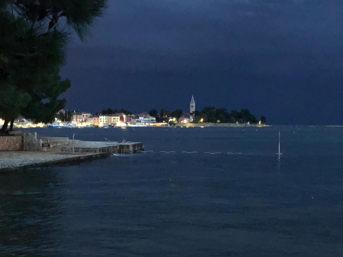 App Sorgo Daire Novigrad Istria Dış mekan fotoğraf