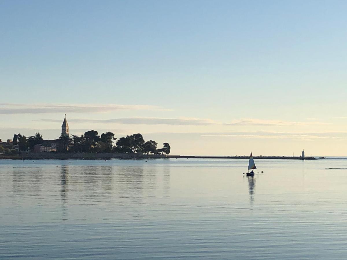 App Sorgo Daire Novigrad Istria Dış mekan fotoğraf