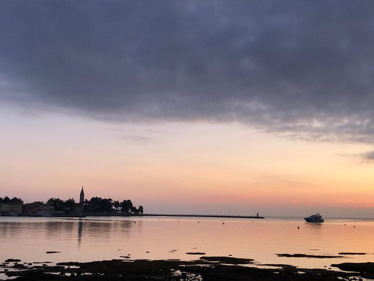 App Sorgo Daire Novigrad Istria Dış mekan fotoğraf