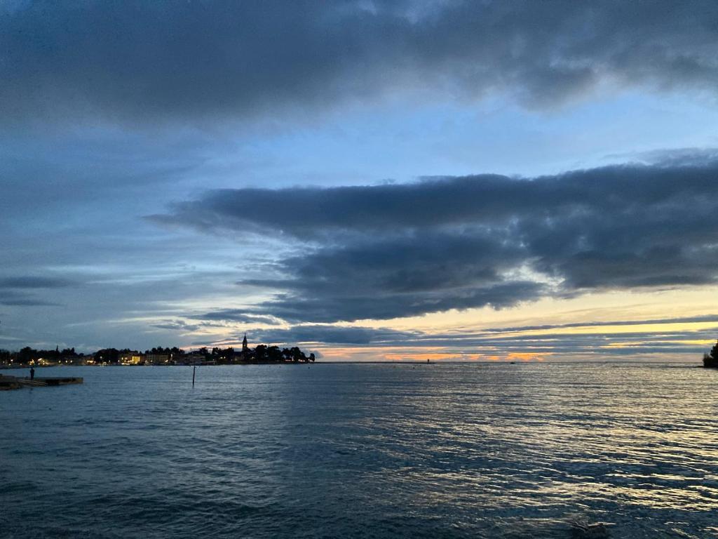 App Sorgo Daire Novigrad Istria Dış mekan fotoğraf