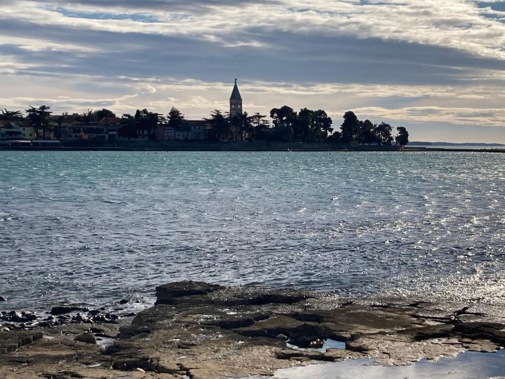App Sorgo Daire Novigrad Istria Dış mekan fotoğraf