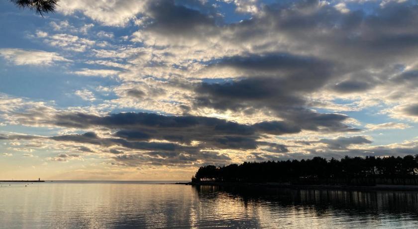 App Sorgo Daire Novigrad Istria Dış mekan fotoğraf