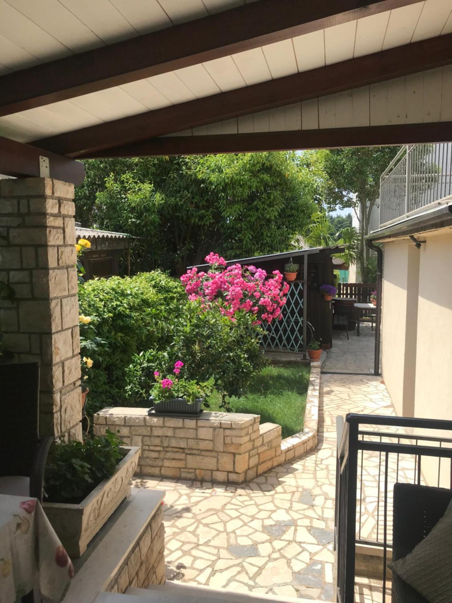 App Sorgo Daire Novigrad Istria Dış mekan fotoğraf