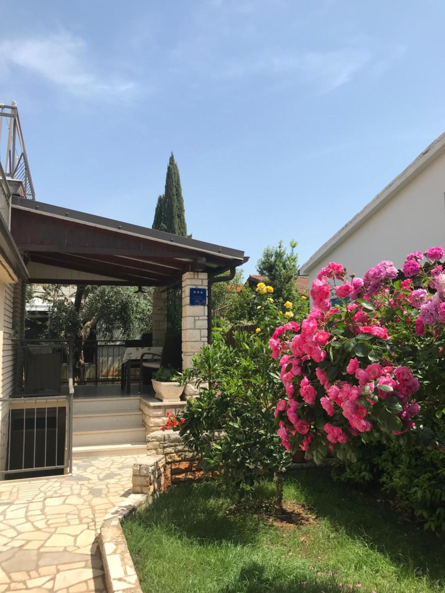 App Sorgo Daire Novigrad Istria Dış mekan fotoğraf