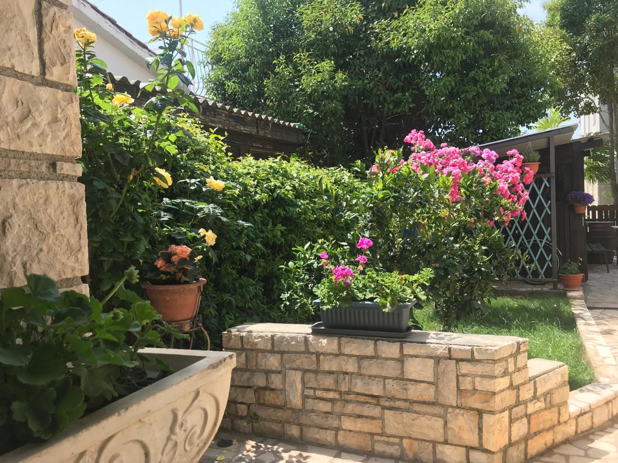 App Sorgo Daire Novigrad Istria Dış mekan fotoğraf