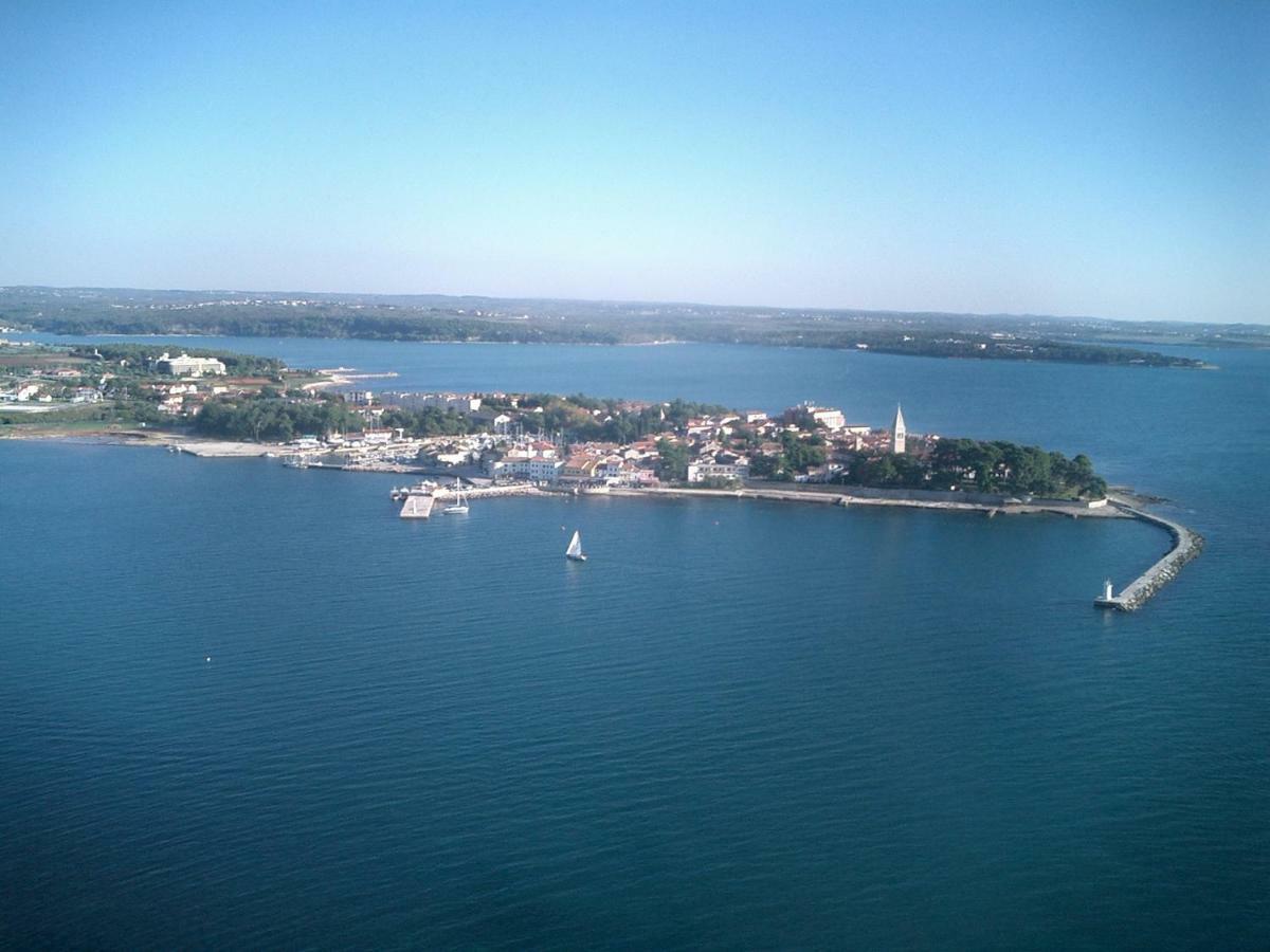 App Sorgo Daire Novigrad Istria Dış mekan fotoğraf