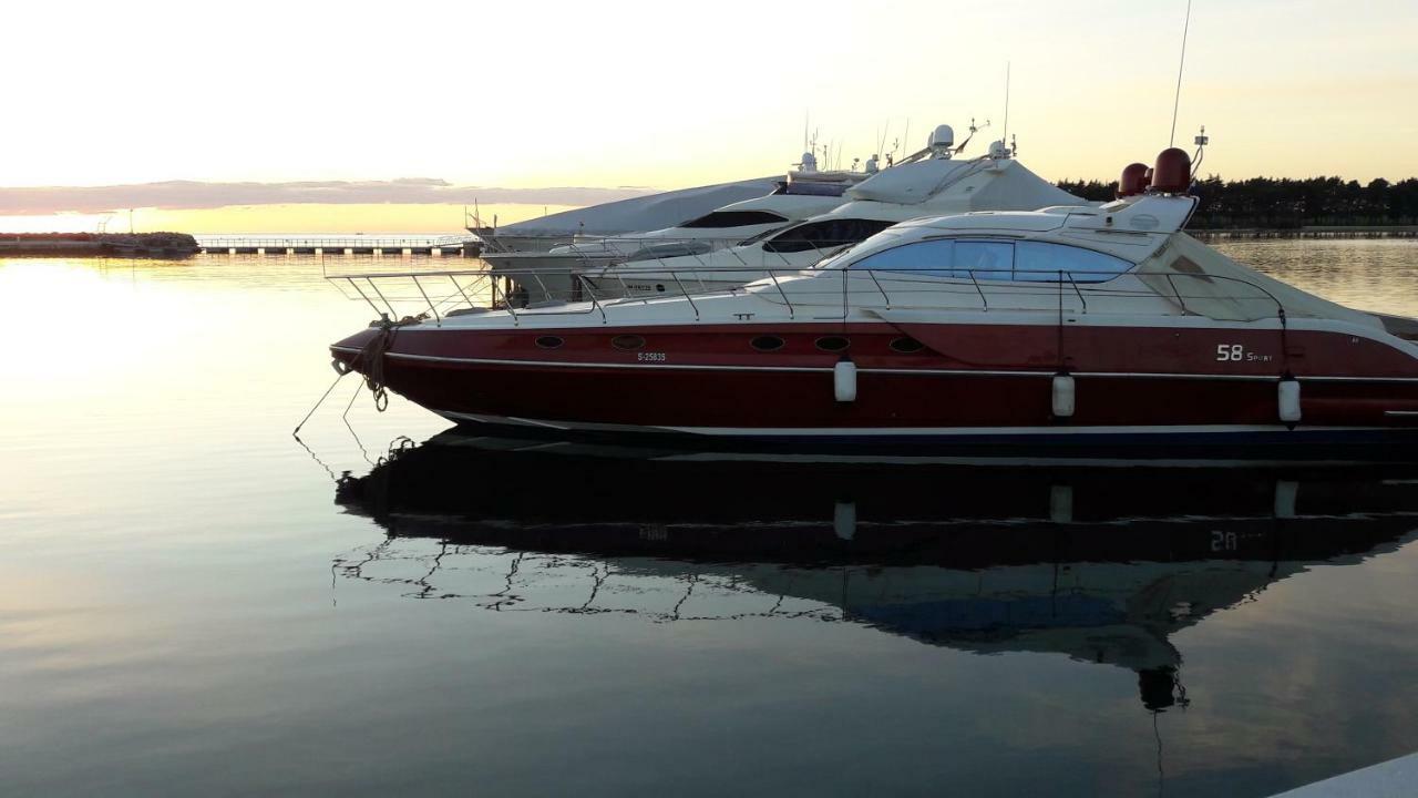 App Sorgo Daire Novigrad Istria Dış mekan fotoğraf