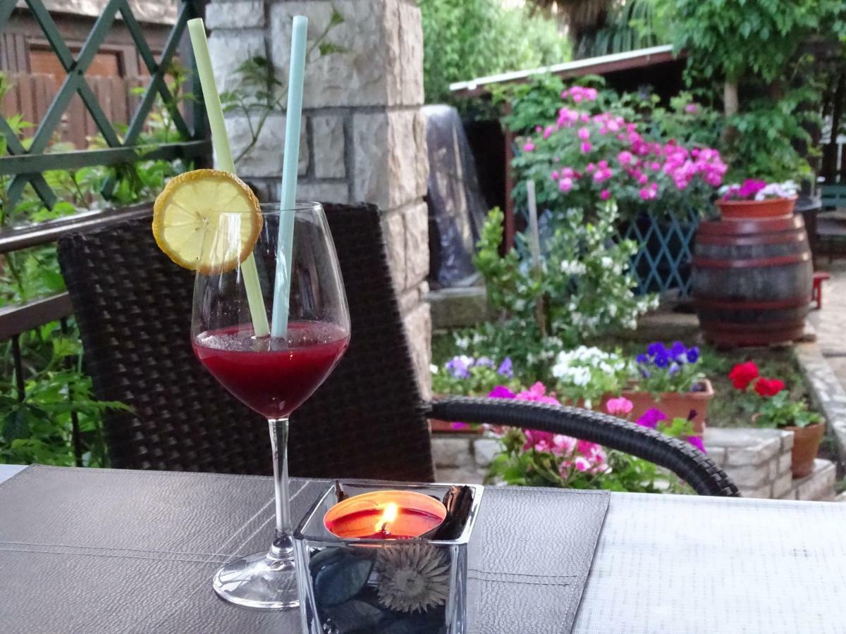 App Sorgo Daire Novigrad Istria Dış mekan fotoğraf