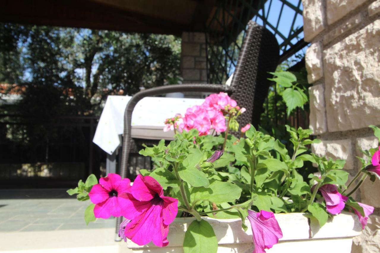 App Sorgo Daire Novigrad Istria Dış mekan fotoğraf