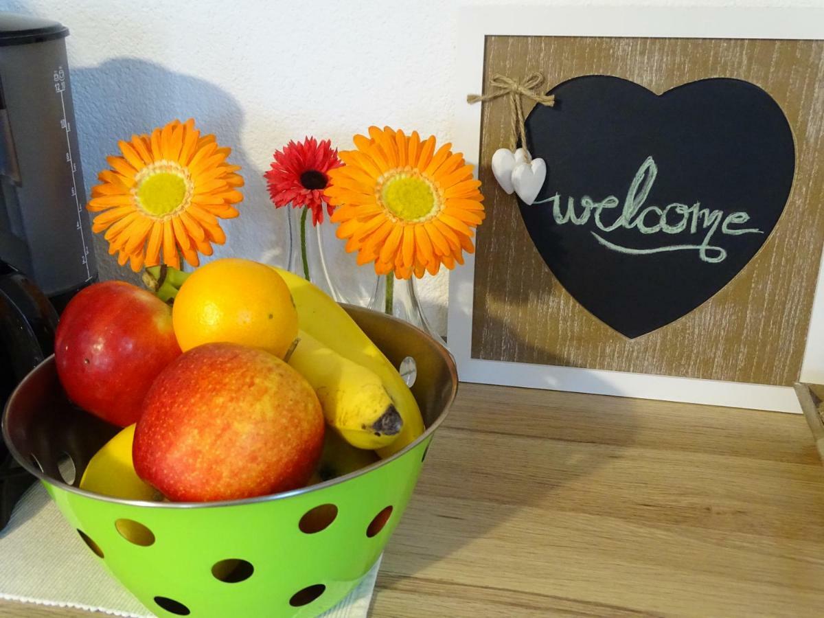 App Sorgo Daire Novigrad Istria Dış mekan fotoğraf