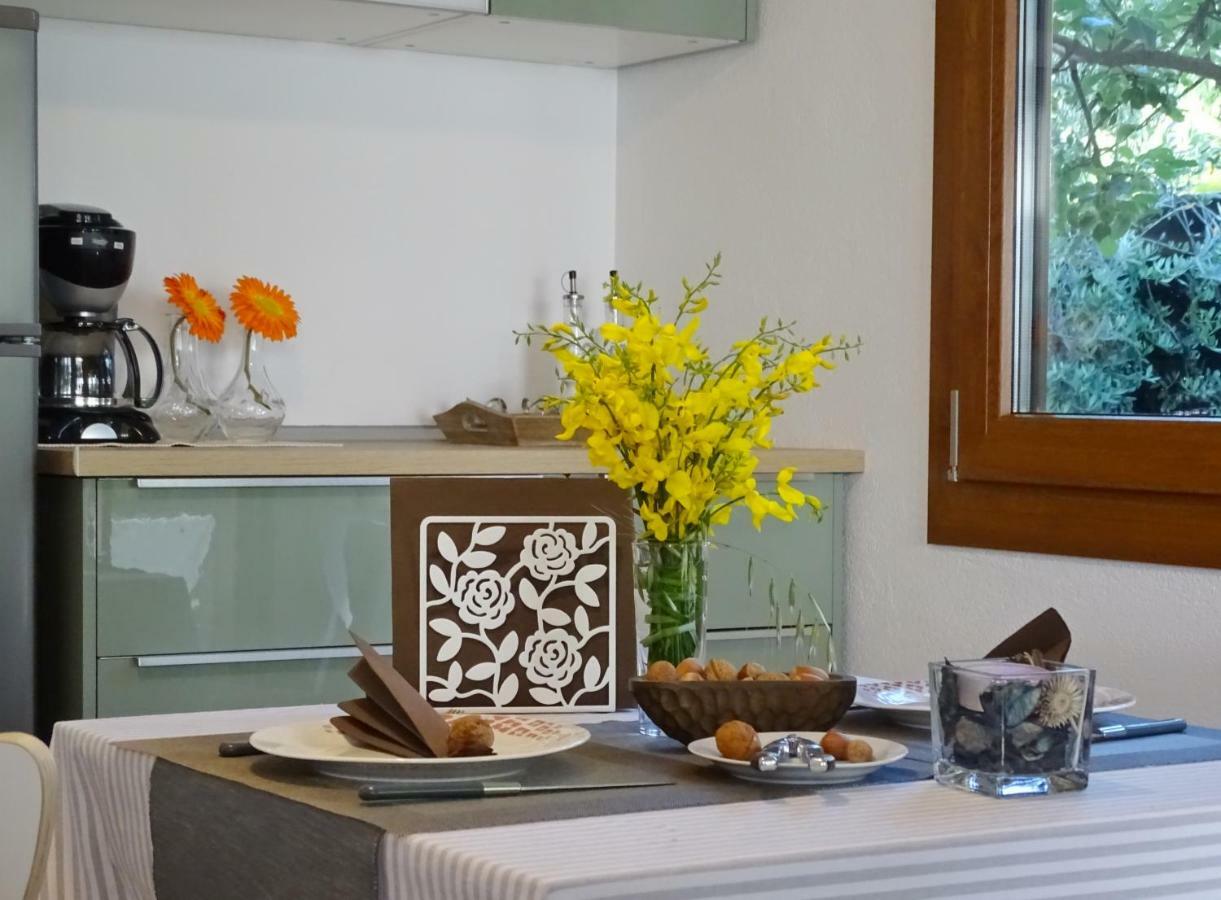 App Sorgo Daire Novigrad Istria Dış mekan fotoğraf