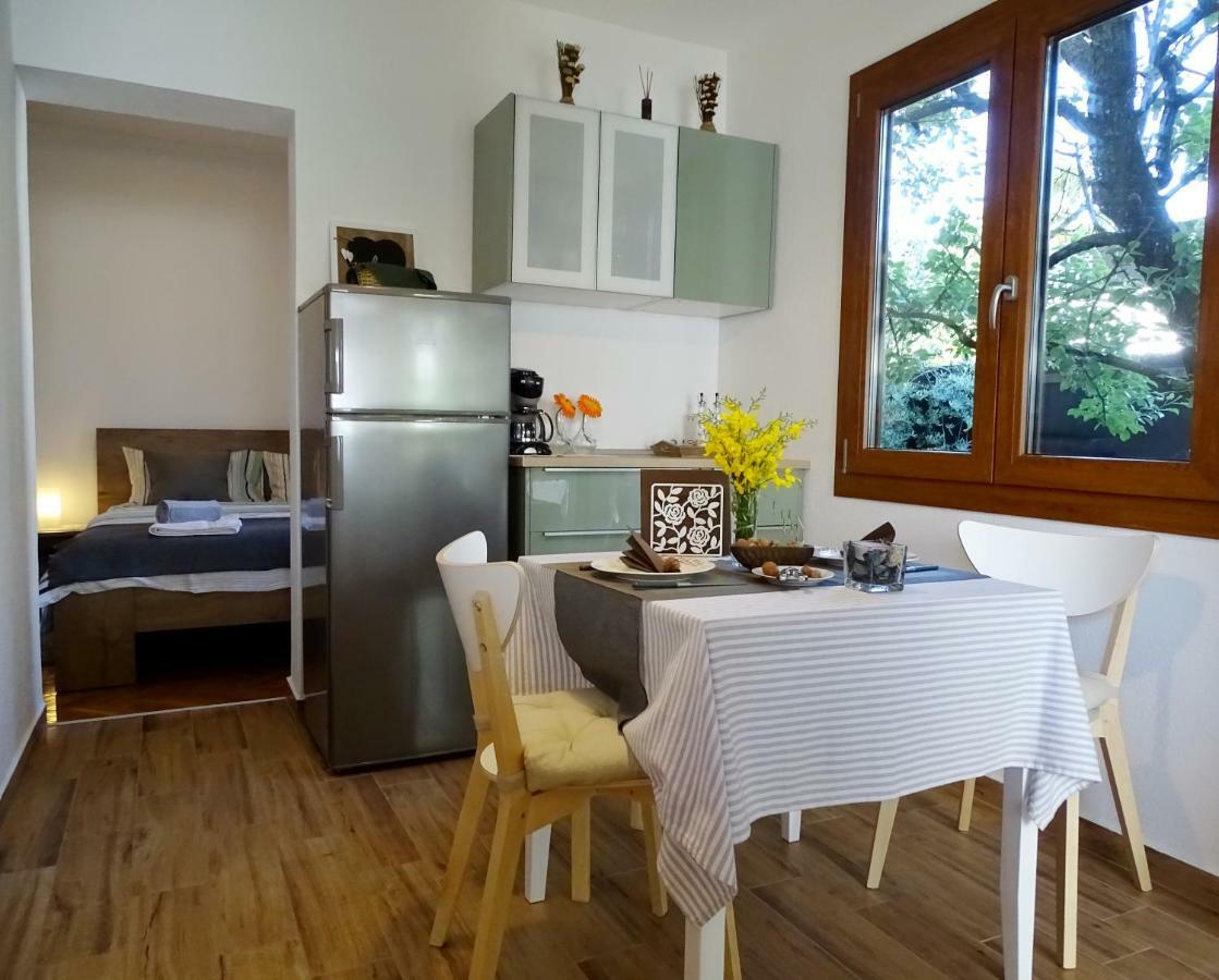 App Sorgo Daire Novigrad Istria Dış mekan fotoğraf